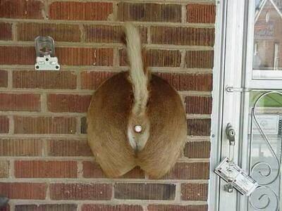 HumorousPicsNow tweet picture