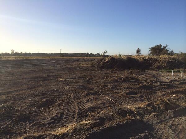 Santelli_Chong's tweet image. 