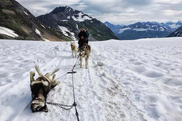 _Paisajes_'s tweet photo. Pinchazo en Alaska :) http://t.co/T6nrmCCh3J