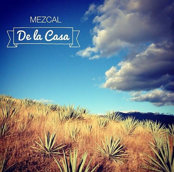 mezcaldelacasa's tweet photo. Para que pueda surgir lo posible es preciso intentar una y otra vez lo imposible.  Hermann Hesse http://t.co/binWhxIB46