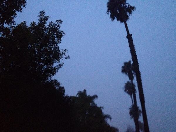 ariannaamberg's tweet image. Wow..would ya look at that sunrise... #6amrun