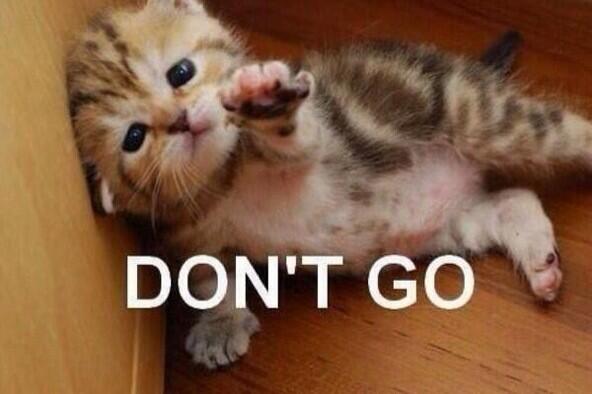 VTHALT's tweet image. What my bed says to me every morning