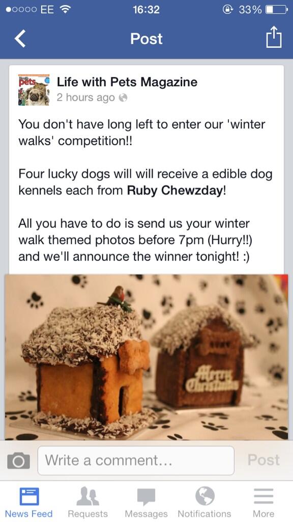 RubyChewzday's tweet photo. Last day to enter our competition with  @LifewithPetsMag Four prizes available! ENTER BEFORE 7 TO WIN!! (HURRY!!) http://t.co/8G4RFPmfKC
