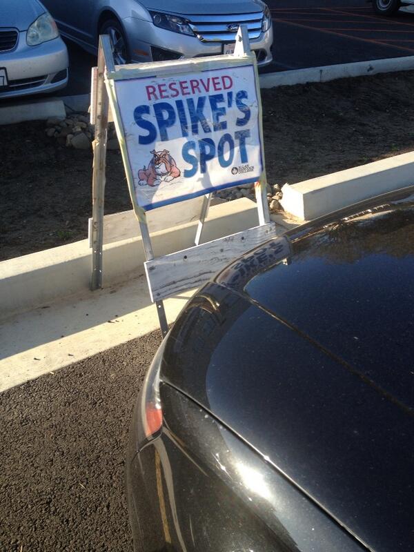 Andrew Masuda tweet media