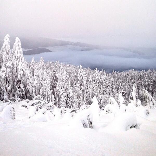 dudelum's tweet image. bit.ly/1hvRhA3 | What's more rare than fog in #vancouver? Yup, #snow // #chasingsnow memory