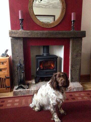 justoves_'s tweet photo. Coming home to this would make your day so much better don't you think?! #justoves #futurefuel #logburners http://t.co/FpaUy5WaVi