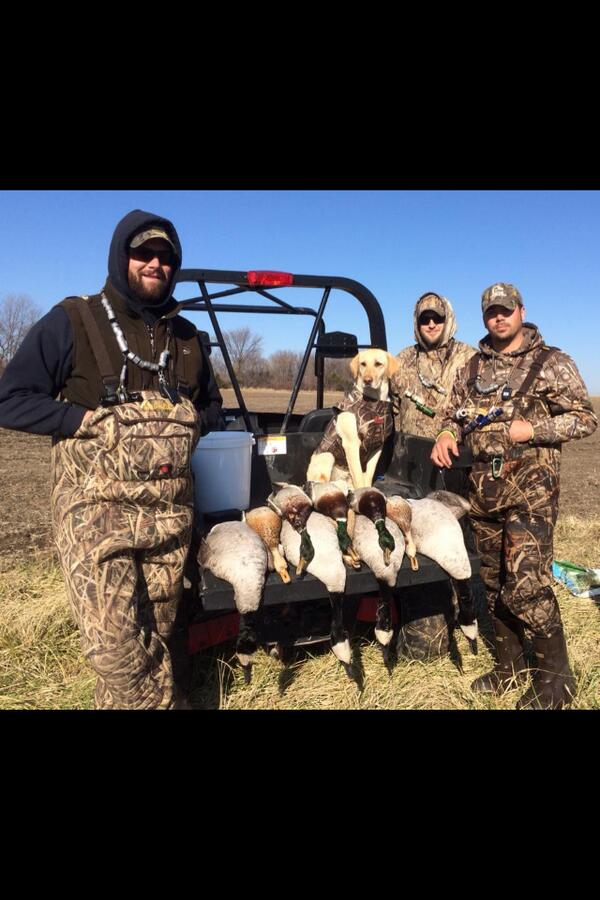 MidwestWaterfwl's tweet photo. Had to work for them this morning, this golf weather has got to go!!!!!!!! #Midwest #Waterfowl http://t.co/Nyr2lAV3Ue