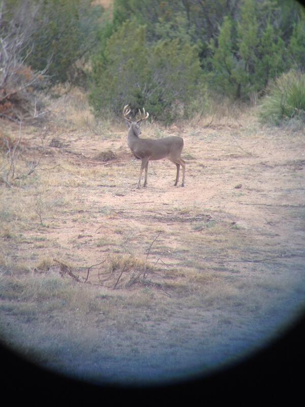 PBD_Diesel_Perf's tweet photo. @aboscamp @mc_nair25 Waiting on you! http://t.co/BW6lMbt0ta