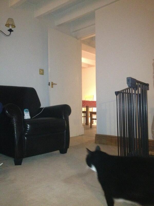 No more lounge-fridge. Seems empty without him.