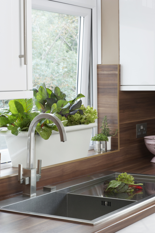 McIntosh_Assoc's tweet photo. Studies show having a house plant is a mood booster and also cleans the air in your home by producing fresh oxygen. http://t.co/DUWOK41VLl