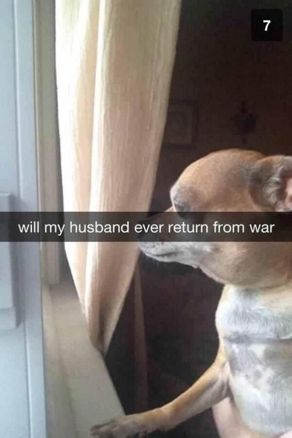The 35 MOST POWERFUL Snapchats of 2013
buzzfeed.com/daves4/the-35-…