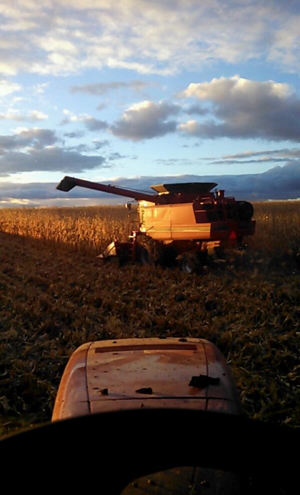 14tfozz's tweet photo. @FarmKidLife @Farm_kidprobs @farmerpics #MX200 #1660 http://t.co/AEpugcbQLw