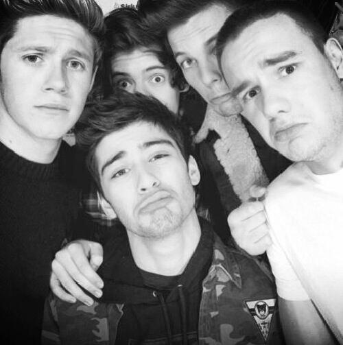 OneD1015's tweet image. They are so cute:) 
#onedirection