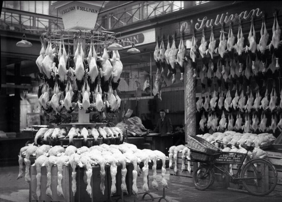 BamGBI-IUAAK8dJ.jpg:large