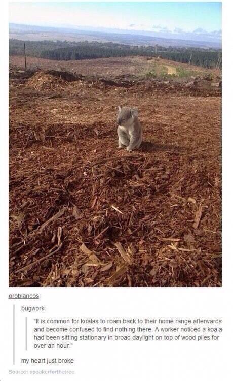McclearyFainqil's tweet photo. Sad, but reality.. http://t.co/5dKQxoxYd0