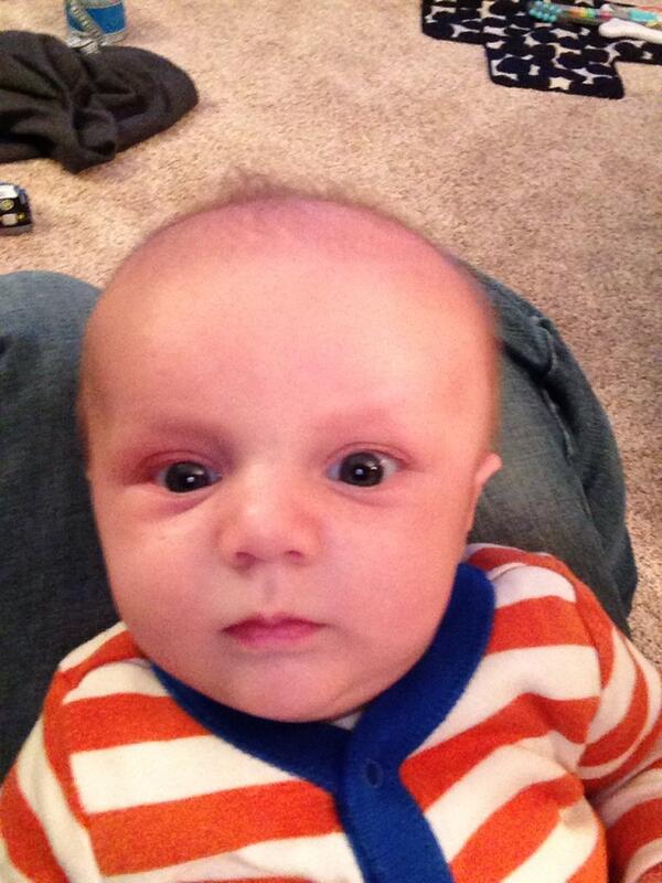 temmel's tweet image. Dash's first selfie