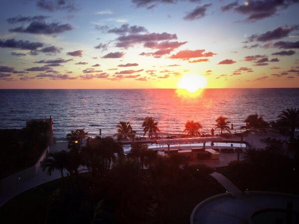 What a beautiful morning in Miami!