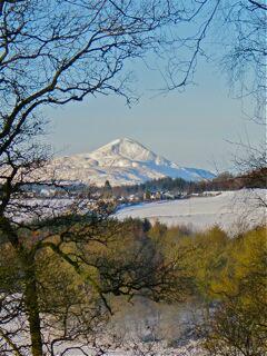 Trossachs Holidays tweet media