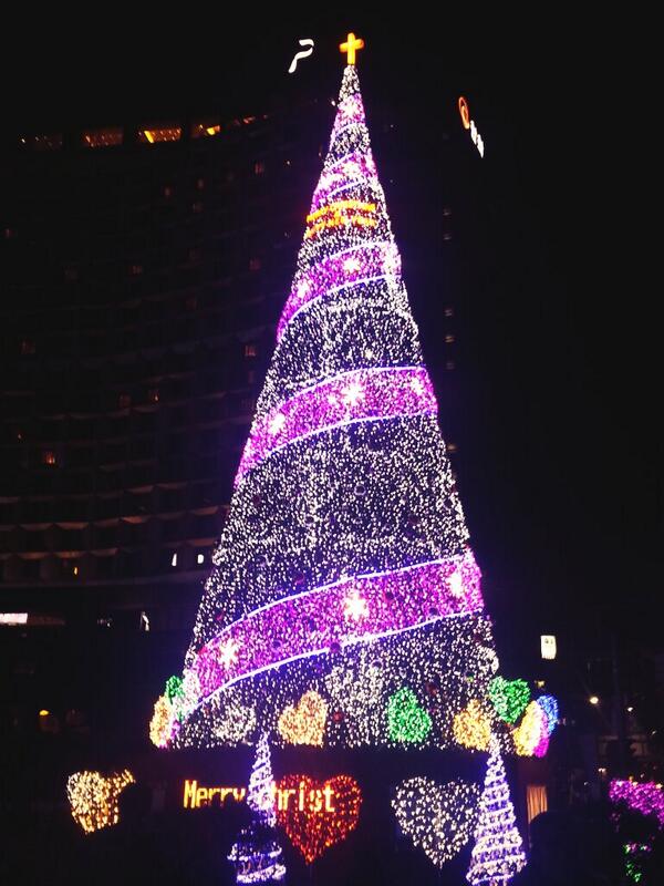 시청 앞 트리~♡ 이뿌당