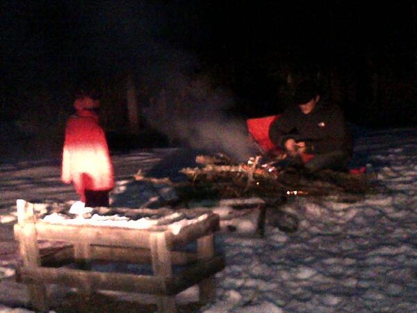 Liselle Cook tweet media