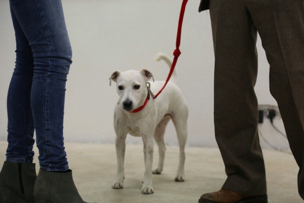 Thanks again to everyone who attended the opening of On the Edge of Wrong photos on facebook facebook.com/media/set/?set…