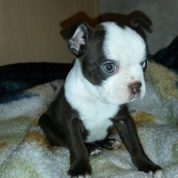 GFLiFE102's tweet photo. @Ohiocountrygrl boozer ❤️❤️❤️ http://t.co/FGR0VjxvLG