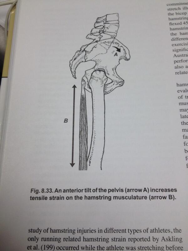 MOVEMENTASMED's tweet photo. Chances are your hamstring isn't "tight" but you are actually weak somewhere else... http://t.co/iY0r0afIND