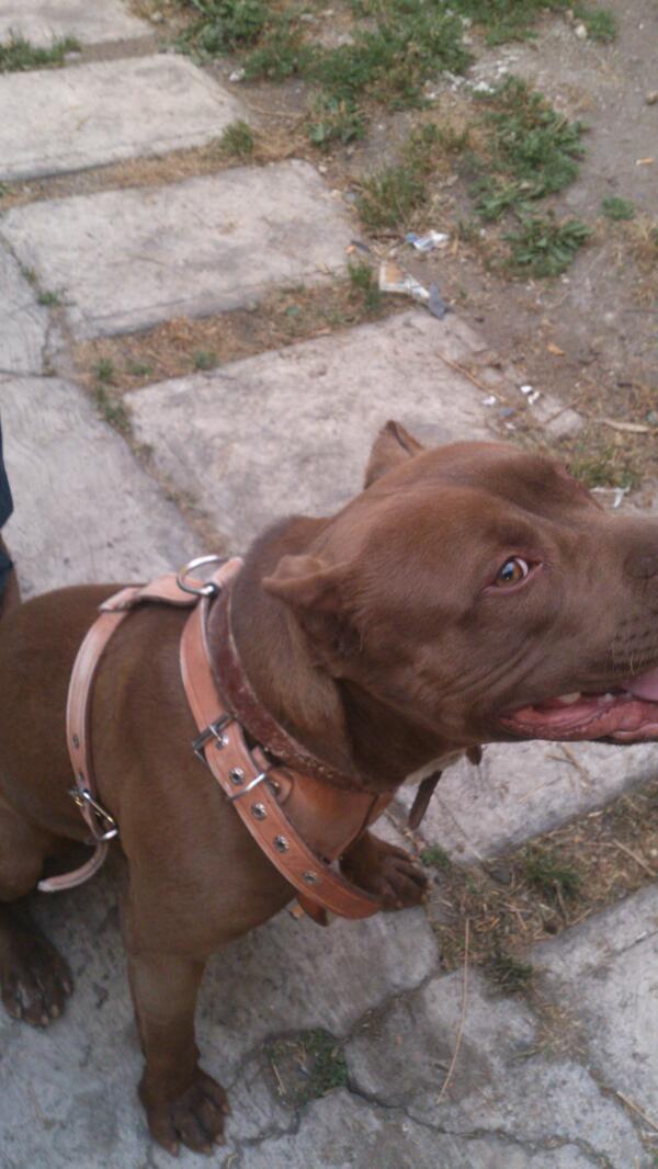 sergio garcia tweet media