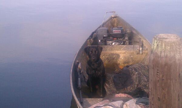 #DUpics Photo of the Day! "@RedKnobloch "