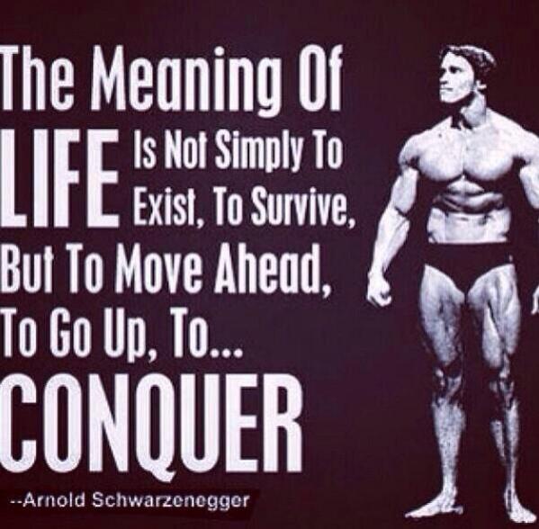 FitnessGandhi's tweet image. #conquer