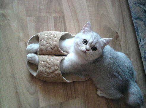 amialgfac's tweet photo. ^^ http://t.co/W7Aub2KkPE