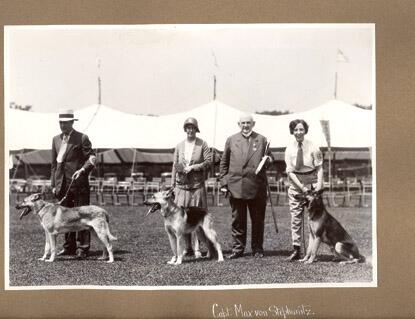 SGPenglish1102's tweet photo. @PZenglish1102 German Shepherds at a dog show in the 30's. Haha #30sclass http://t.co/ahR4uDngfv