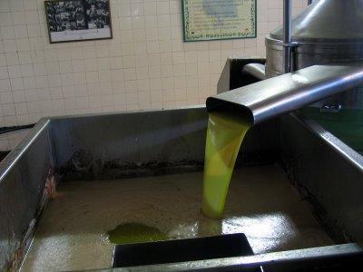 Aceite de Oliva Virgen Extra en proceso. Trabajando para daros la mejor calidad .#AlmazaraSanMiguel. Pueden visitarns