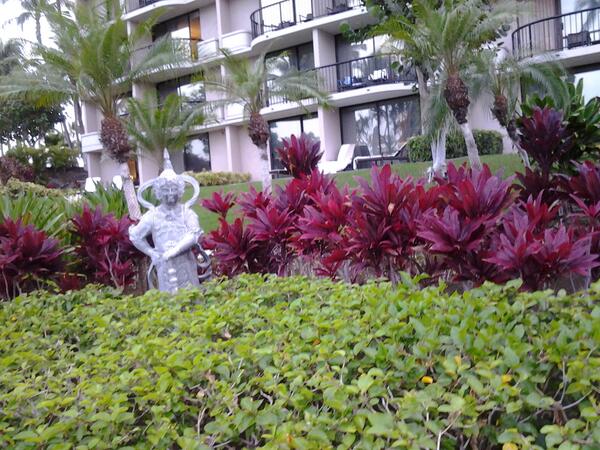 AuthorSHayes's tweet photo. I miss summer.  I love Hawaii summer all year round. http://t.co/TsRW4J56lJ