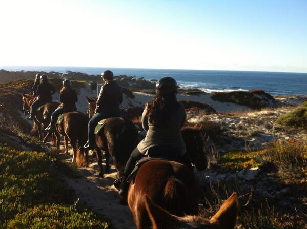 janetelfer's tweet photo. A different kind of #bridal party! Pebble Beach Equestrian Center trail ride @PebbleBeachCali http://t.co/sA3o6eU67M
