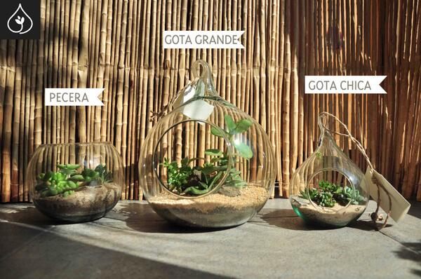 Terrariummx tweet picture