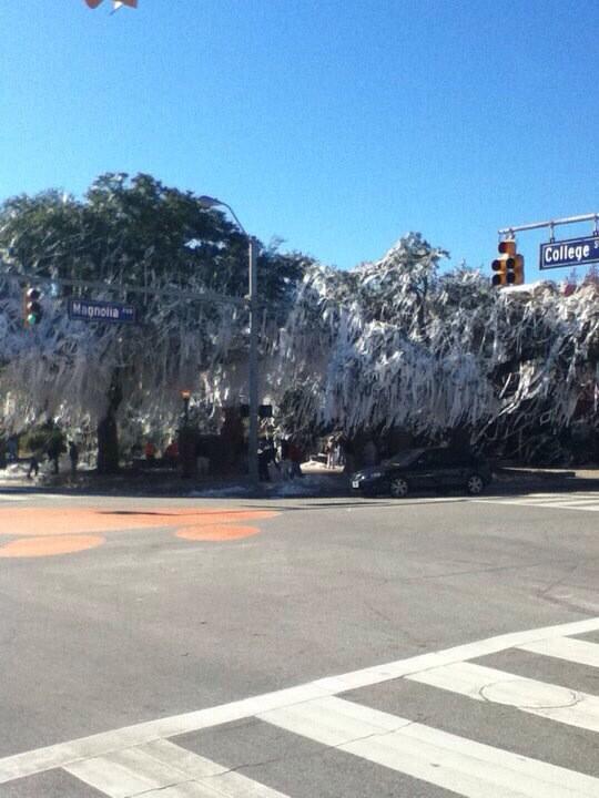 Just found this picture taken the day after AU's Iron Bowl 2010 Win. Very beautiful, but bittersweet. #ToomersOaks