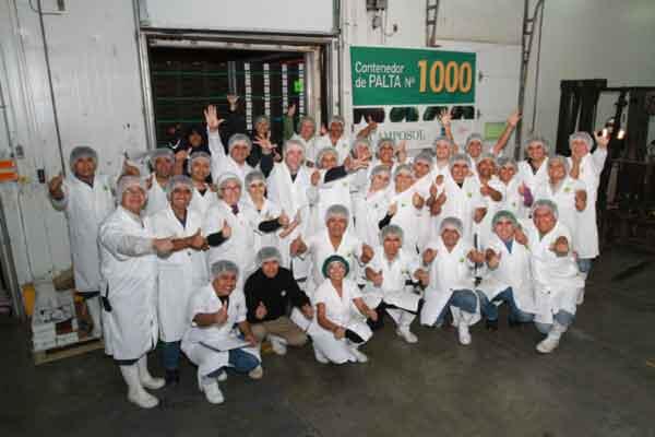 <a href="/CamposolSAC/">Camposol </a>  Colaboradores 2013