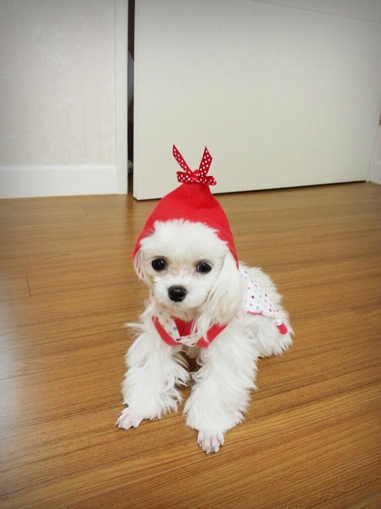 Bas9JroCUAEtymH.jpg:large