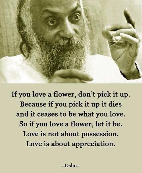 lnspireWords tweet picture