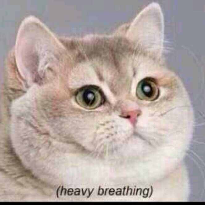 Watch Maria 🧚🏼‍♀️'s leaked NSFW photo on TwXstars