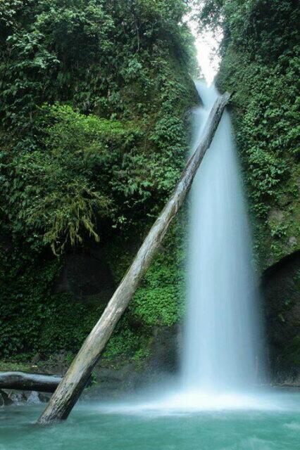 MedanCity90's tweet photo. Keindahan Air Terjun "Lau Balis" di Desa Rumah Galo, Kecamatan Sei Bingai, Kabupaten Langkat, Sumatera Utara. http://t.co/WYRepi1CJ5