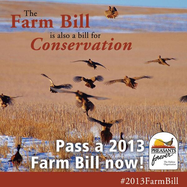 pheasants4ever's tweet photo. CONGRESS: #2013FarmBill Time to get it done  @SenateAg &amp; @HouseAgNews #Habitat #Wildlife #Water #Pollinators #Soil http://t.co/vUm1zG5RX8