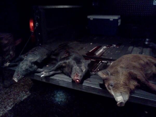 RackFin tweet picture