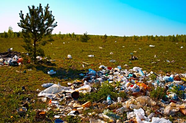 DovesandDucks's tweet photo. Love the #outdoors as much as #SouthernOutfitting? How does this make you feel? #preservetheoutdoors #dontlitter http://t.co/g9RLRMAUNV