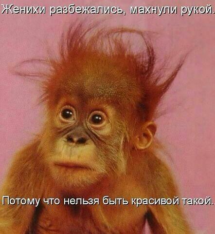 TeaShav's tweet photo. http://t.co/wKQc81Vc7Y