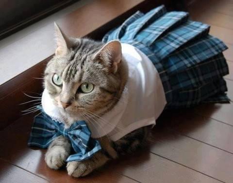 nesnos1111's tweet photo. So cuteeeeee http://t.co/zcba0z9THr