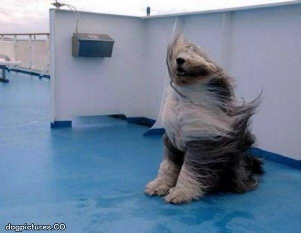 LovinDublin's tweet image. That's some wind out there today, kinda felt like this earlier: