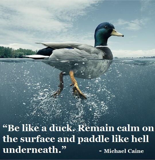 MindBlow_Quotes's tweet photo. “Be like a duck. Remain calm on the surface and paddle like hell underneath.” - Michael Caine http://t.co/91uOeWCcrs