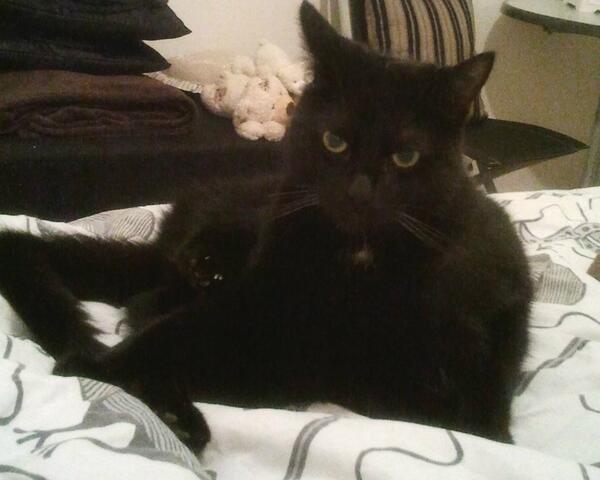 My morning gymnastics MOL MOL MOL